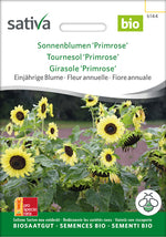 Sativa Sonnenblumen Primrose