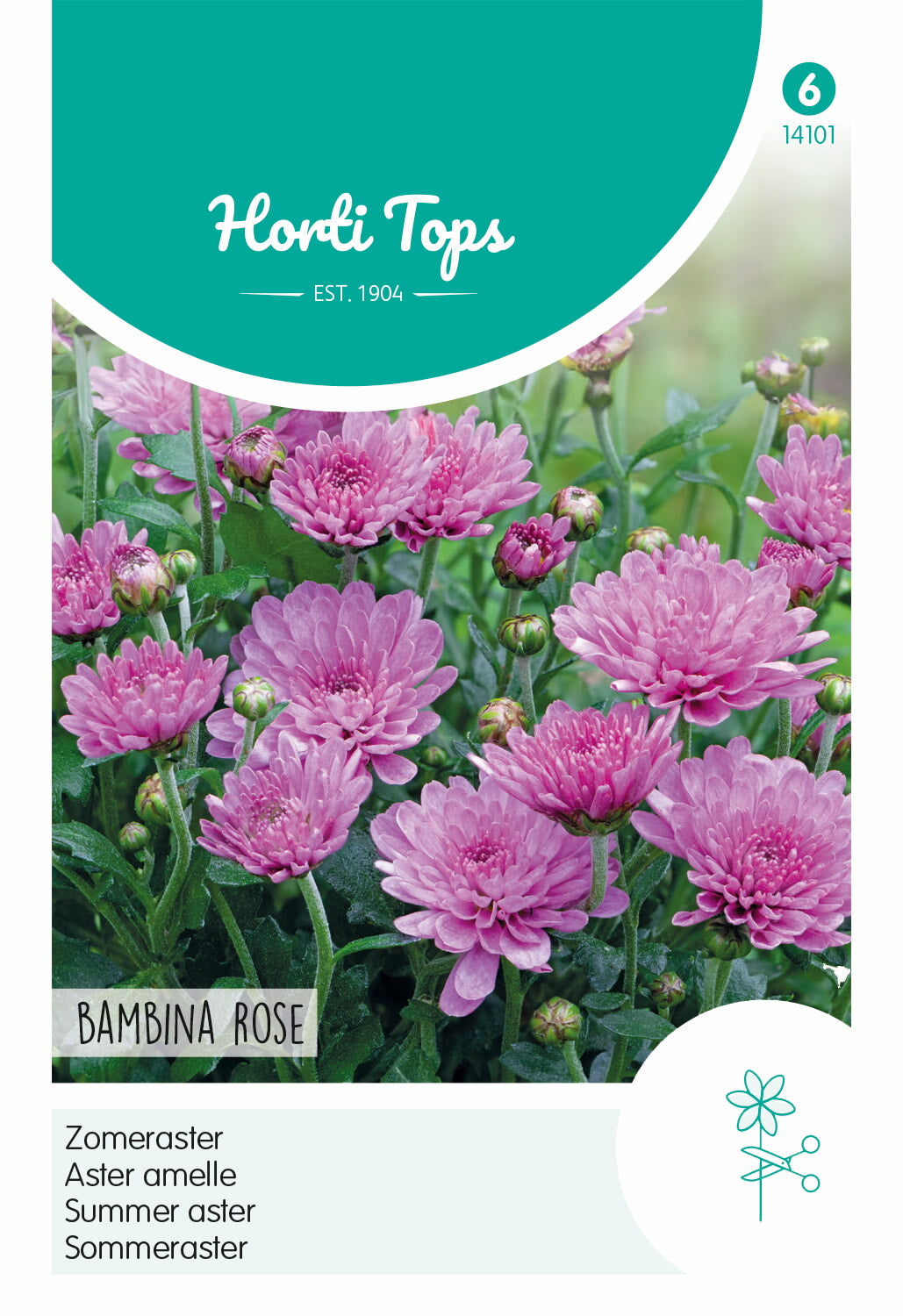 Horti Tops Sommeraster Bambina Rose
