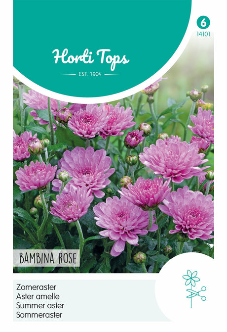 Horti Tops Sommeraster Bambina Rose