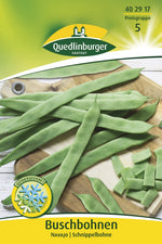 Quedlinburger Buschbohne Navajo