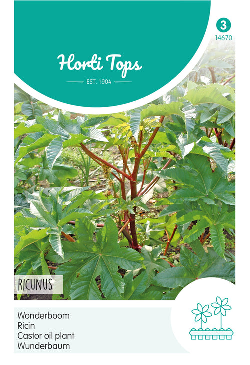 Horti Tops Rizinus Communis Zanzibariensis