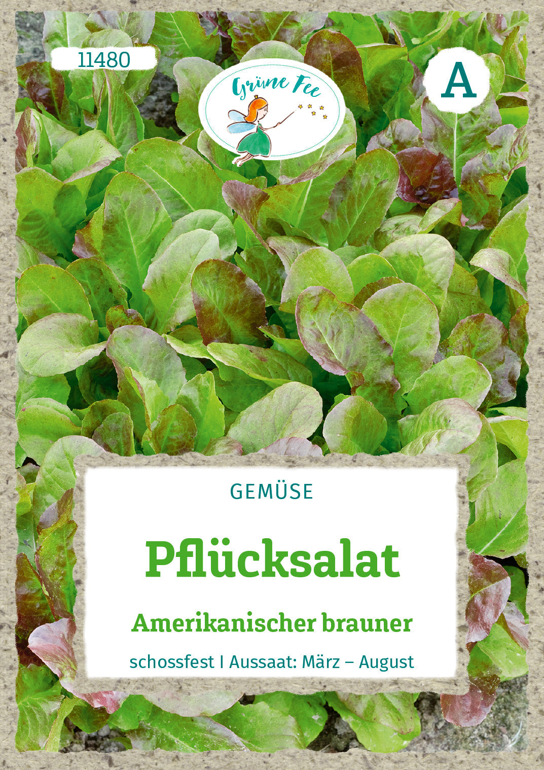 Grüne Fee Pflück- & Schnittsalat Amerikanischer brauner