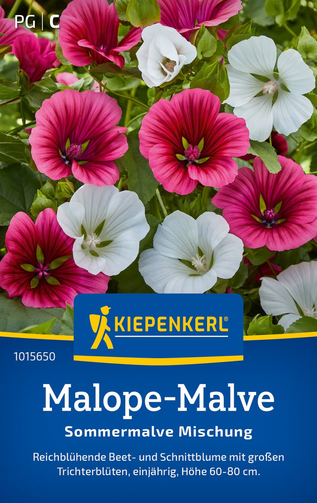 Kiepenkerl Malven Sommermalve Mischung