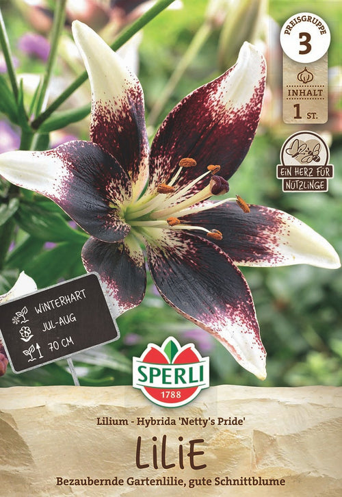SPERLI Lilie Nettys Pride