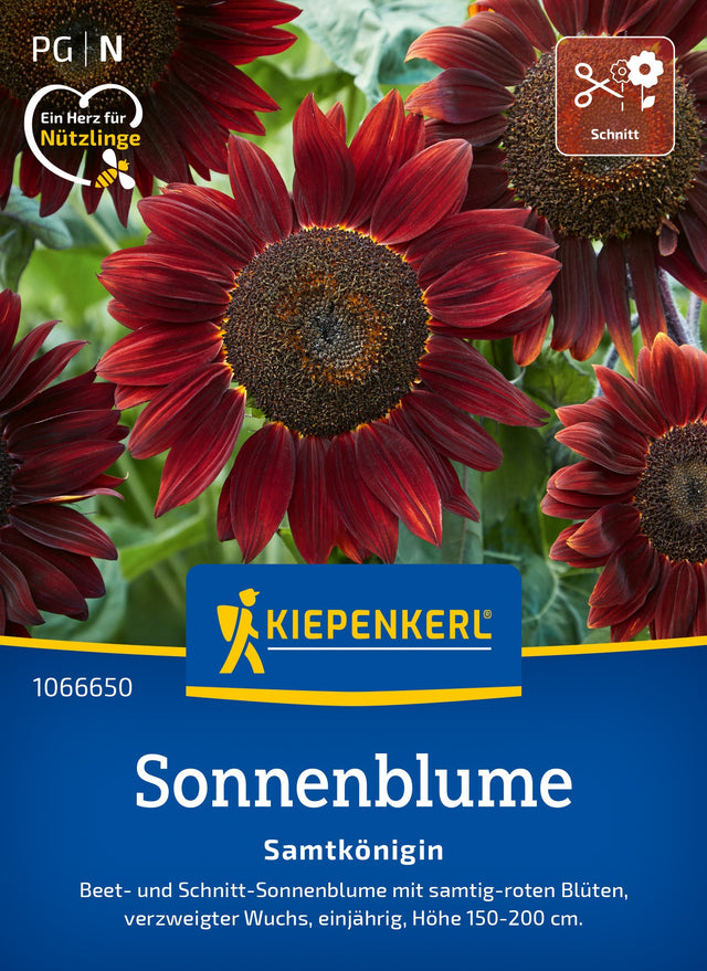 Kiepenkerl Sonnenblumen Samtkönigin