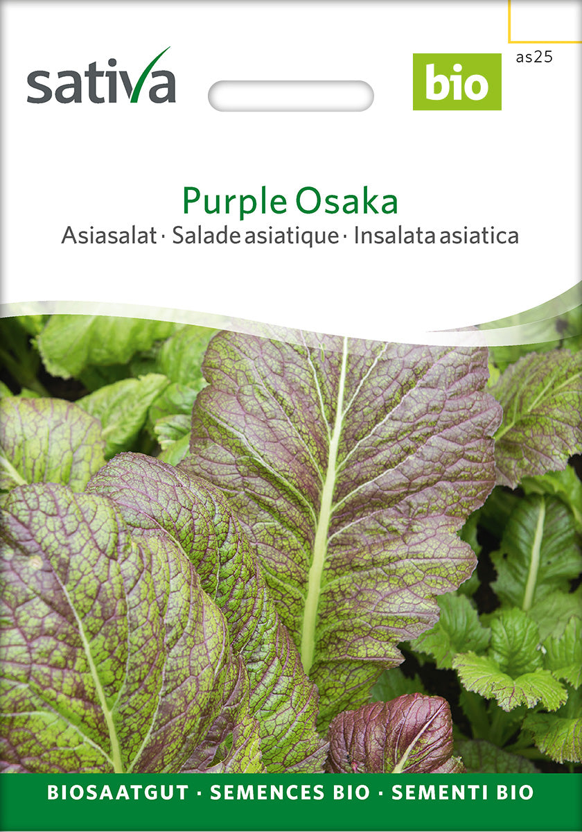 Sativa Asiasalat Purple Osaka