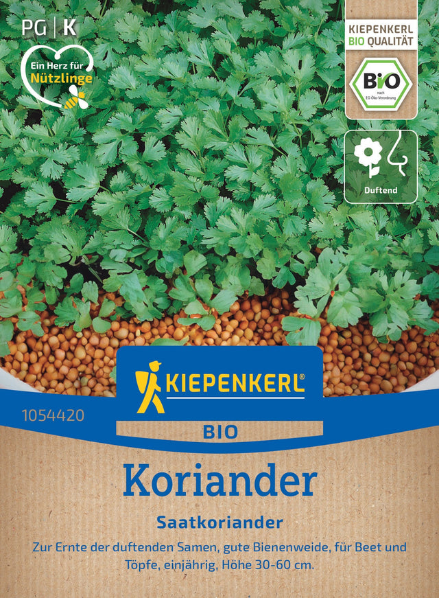 Kiepenkerl Koriander Saatkoriander