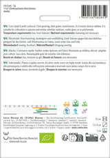 Sativa Nüsslisalat Vit