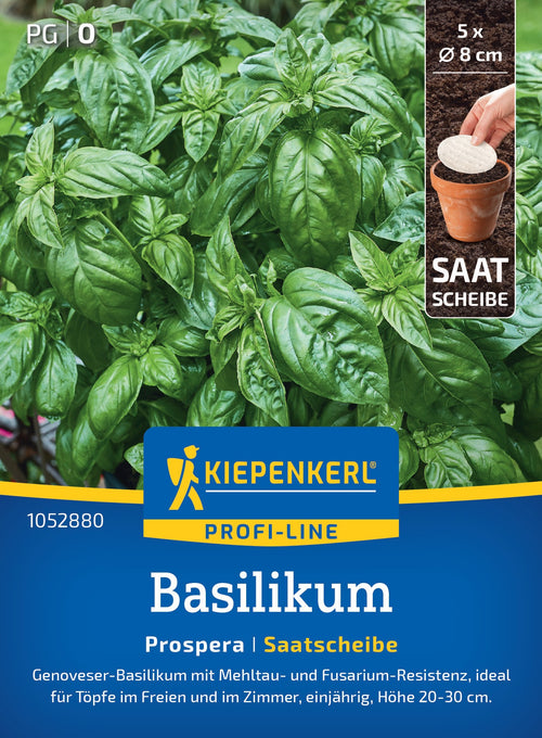 Kiepenkerl Basilikum Prospera