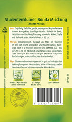 Quedlinburger Studentenblume Bonita Mischung