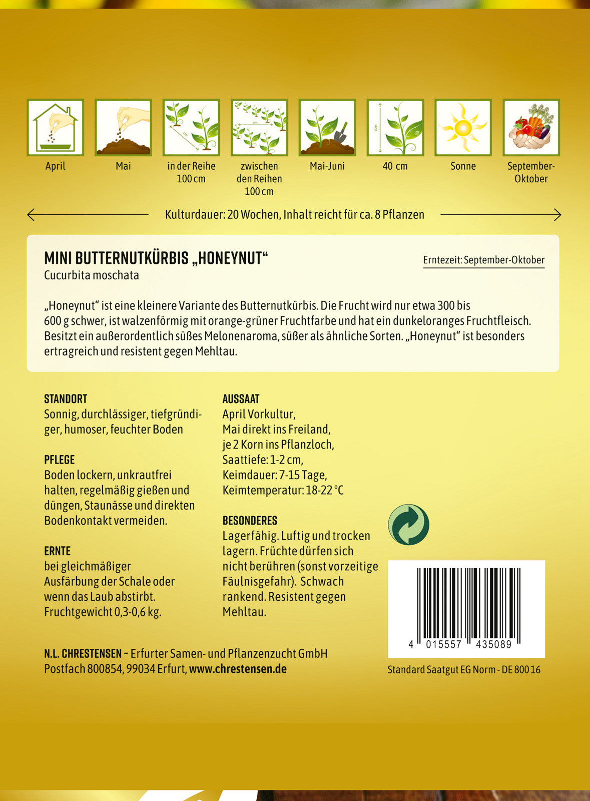 N.L. Chrestensen Mini Butternutkürbis Honeynut