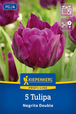 Profi-Line Gefüllte späte Tulpe Negrita Double