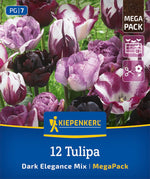 Mega Pack Dark Elegance
