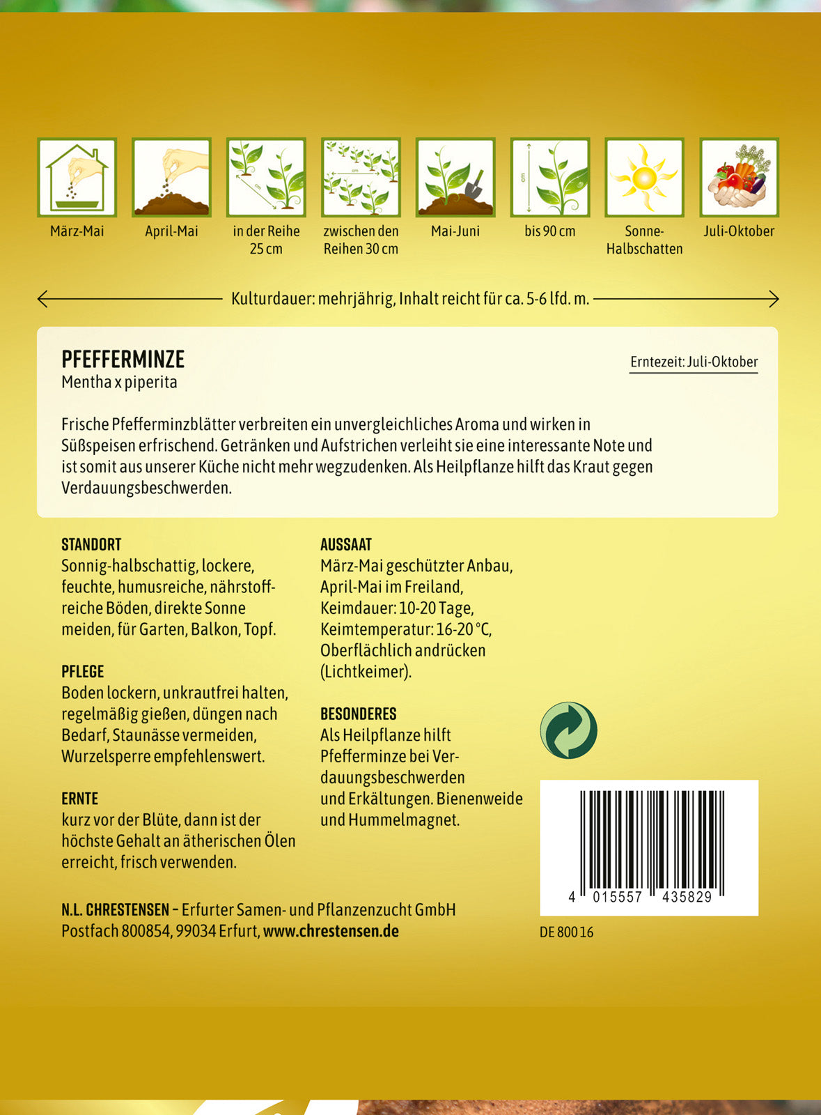 N.L. Chrestensen Pfefferminze mehrjährig