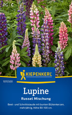 Kiepenkerl Lupinen Russel Mischung
