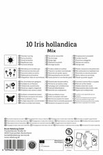 Holländische Schwertlilien Mischung