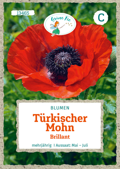 Grüne Fee Mohn Türkischer Brillant