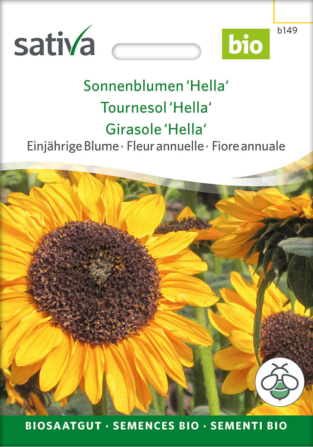 Sativa Sonnenblumen Hella