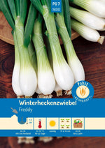Pabst Keimkraft Winterheckenzwiebel Freddy