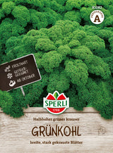 SPERLI Kohl Halbhoher grüner krauser