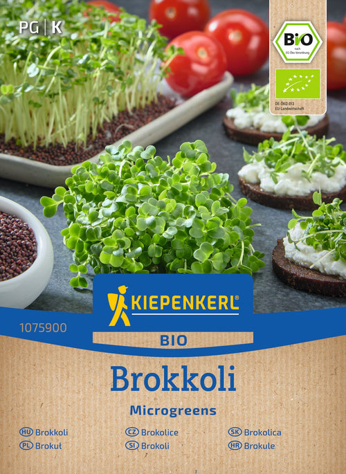 Kiepenkerl BIO Keimsprossen Microgreens Brokkoli