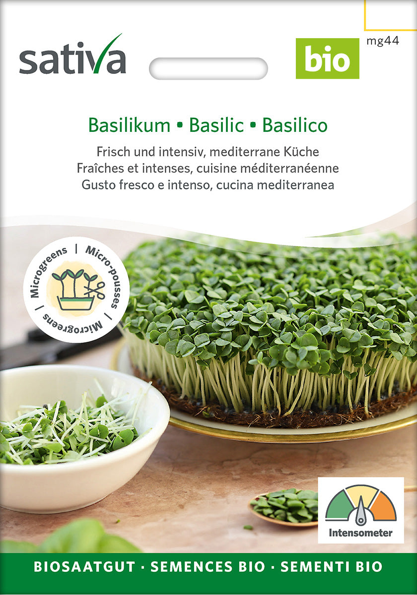Sativa Keimsprossen Basilikum