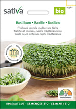 Sativa Keimsprossen Basilikum