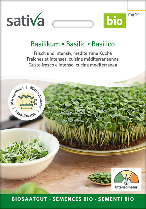 Sativa Keimsprossen Basilikum