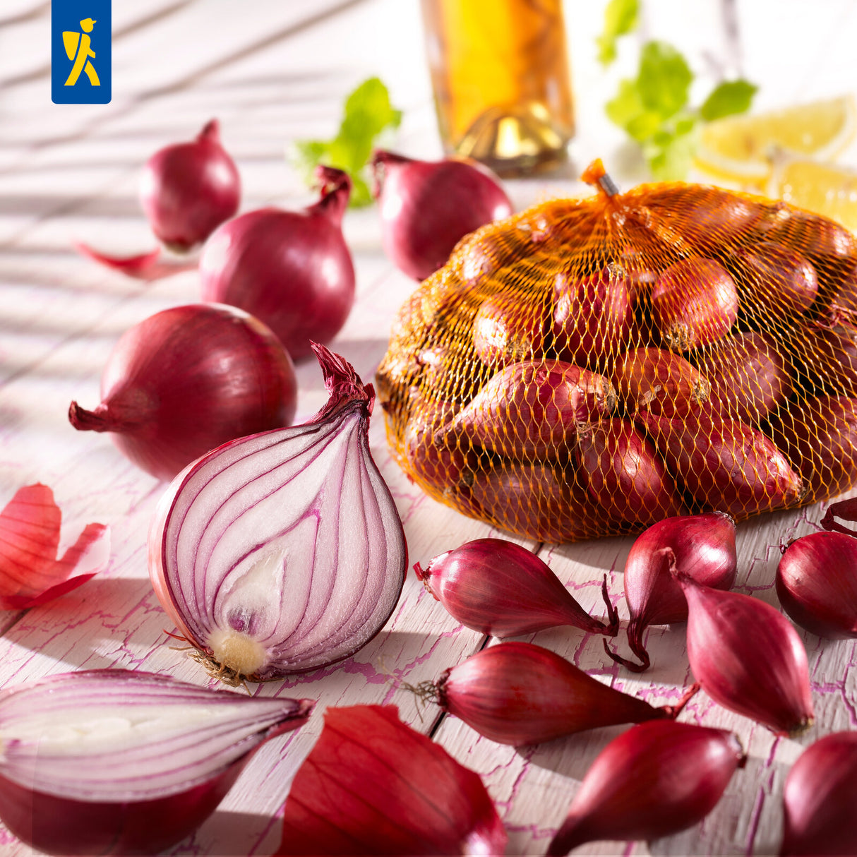 Kiepenkerl Rote Steckzwiebel 250 g