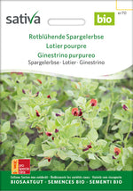 Sativa BIO Spargelerbse Rotblühende