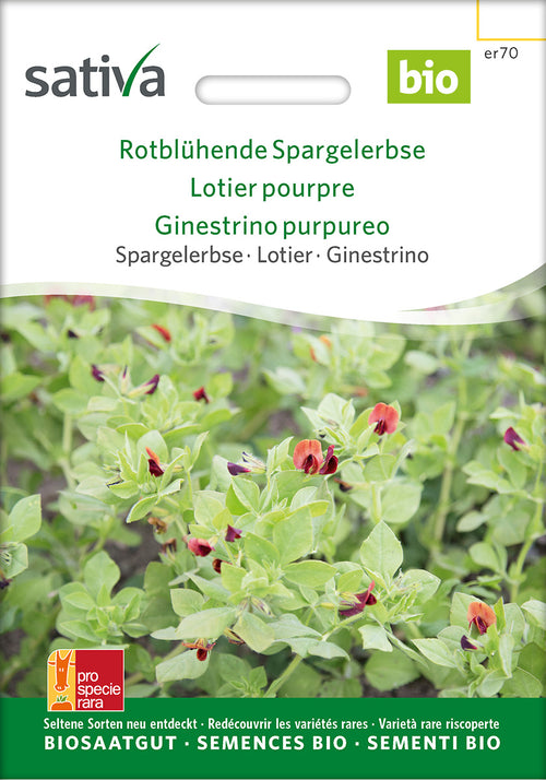 Sativa BIO Spargelerbse Rotblühende
