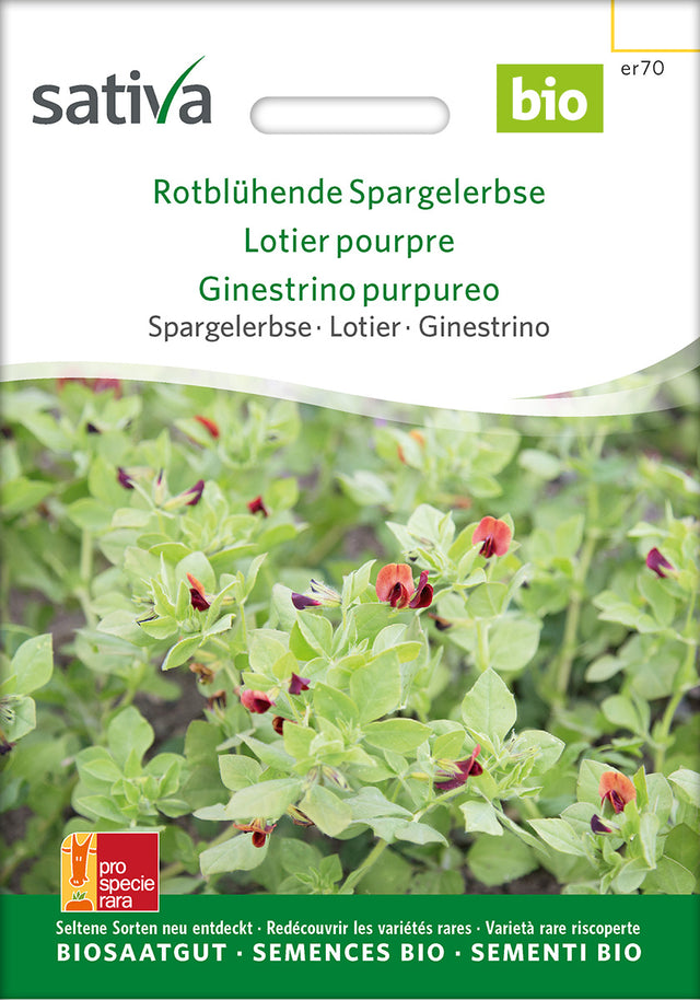 Sativa BIO Spargelerbse Rotblühende