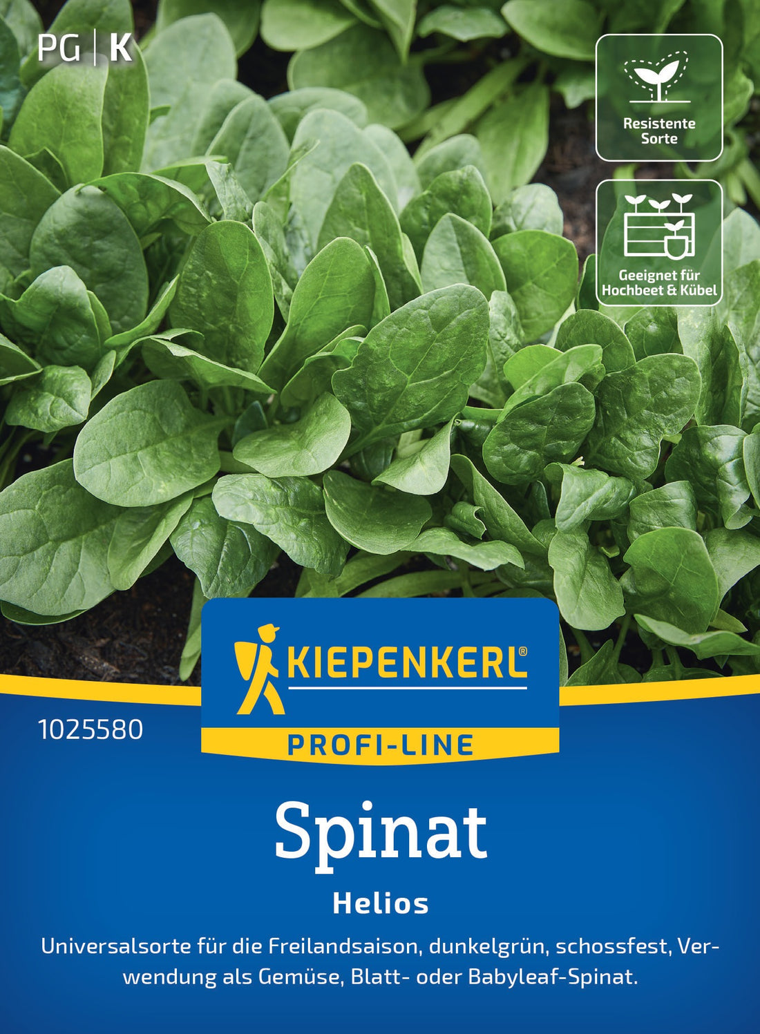 Kiepenkerl Spinat Helios