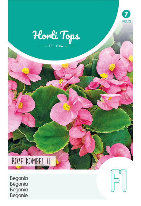 Horti Tops Begonie Semperflorens Rose Comet