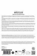 Tazetta Narzisse Martinette