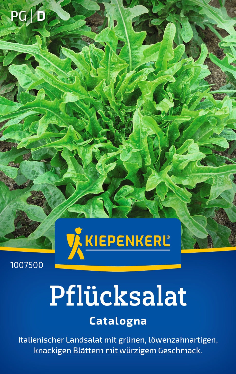 Kiepenkerl Pflück- & Schnittsalat Catalogna