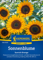Kiepenkerl Sonnenblumen Sunrich Orange