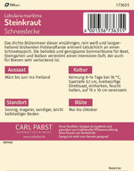 Pabst Keimkraft Steinkraut Schneedecke