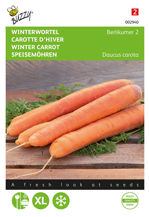 Buzzy Seeds Möhre Lange rote Stumpfe ohne Herz 2