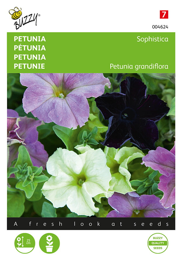 Buzzy Seeds Petunien Sophistica Mischung