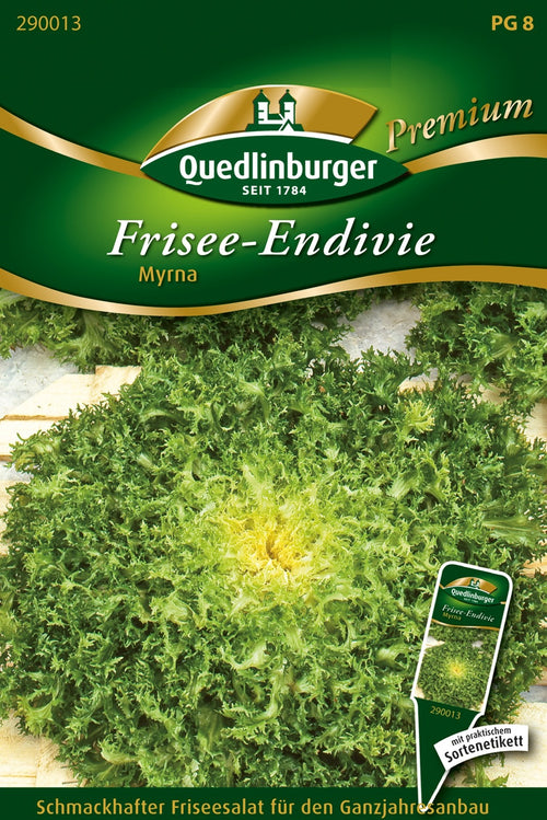 Quedlinburger Friseeendivie Myrna