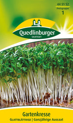 Quedlinburger Gartenkresse glattblättrige
