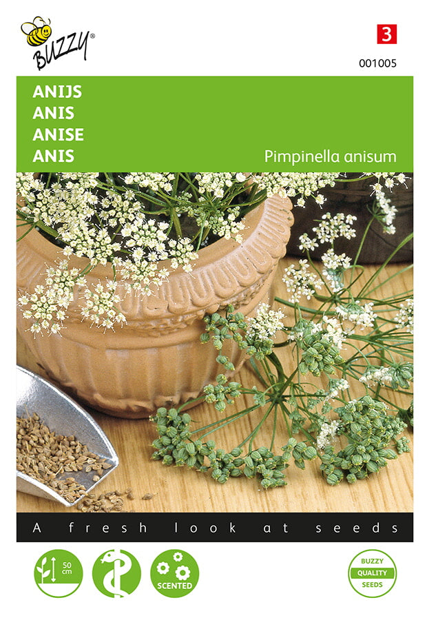 Buzzy Seeds Anis