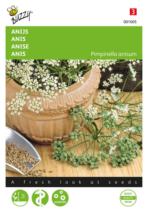 Buzzy Seeds Anis