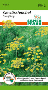 Samen Pfann zweijährig Gewürzfenchel