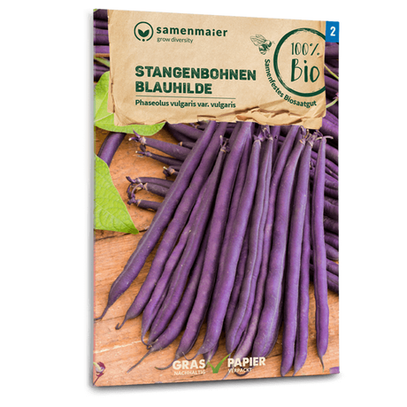 Samen Maier BIO Stangenbohnen Blauhilde