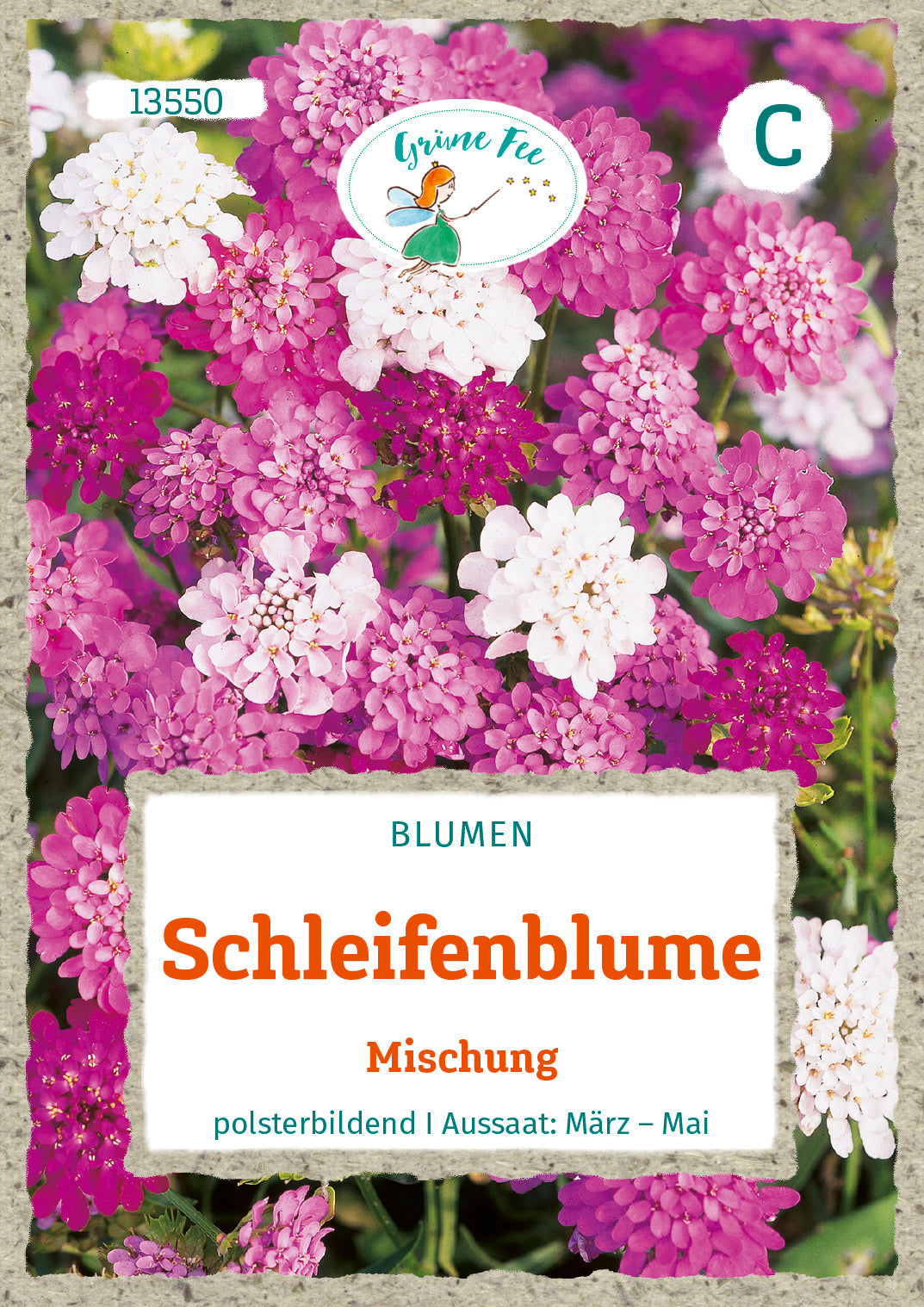 Grüne Fee Schleifenblumen Feen Mischung