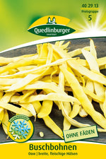 Quedlinburger Buschbohne Odir