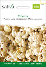 Sativa Popcorn Mais Cinema