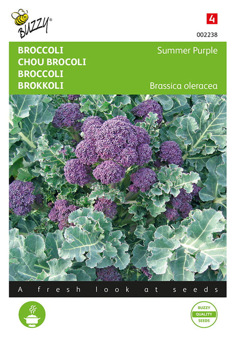 Buzzy Seeds Spargelkohl Summer Purple